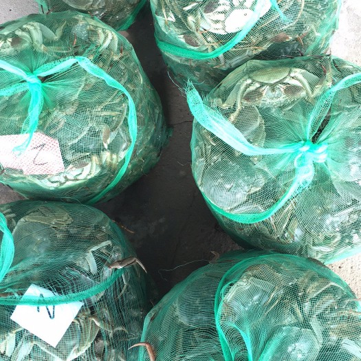泗洪县洪泽湖大闸蟹 2.5-3.0两 统货 