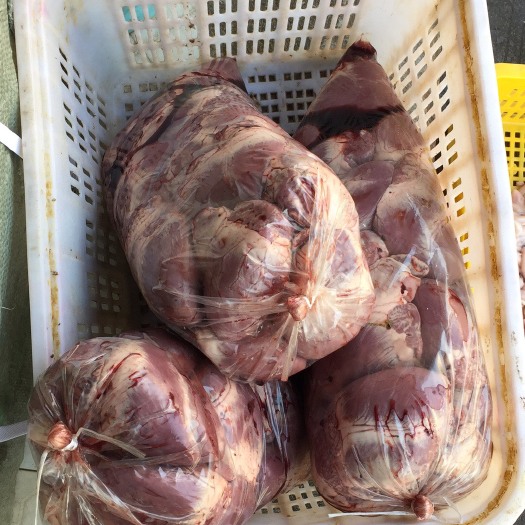广州猪心  顾源冷鲜食品经营部