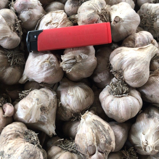 彭州市软叶蒜 混级统货 多瓣蒜 
