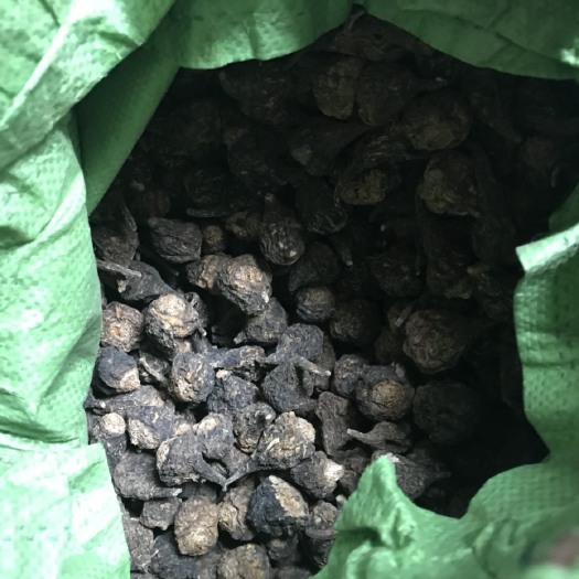 广州黑玛咖 