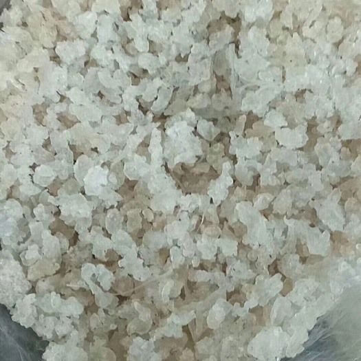 广州雪燕 