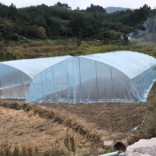 睢宁县单体棚 成套单体温室大棚家用连体蔬菜种植养殖大棚骨架养鸡椭圆钢管大棚