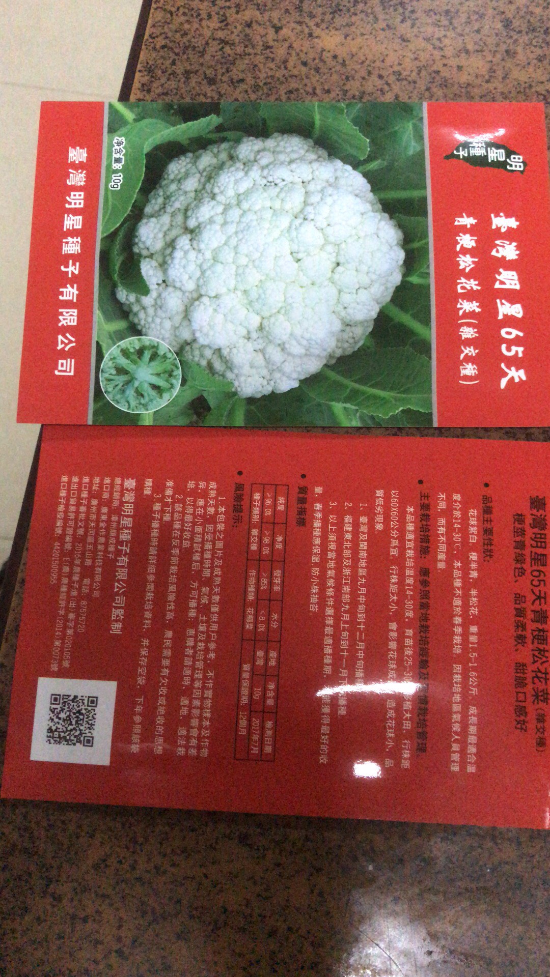 青梗松花菜苗  青梗松花苗 优质种苗 精心培育 质量充足