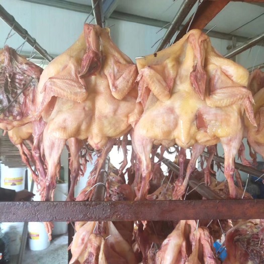 扬州腊板鸡 散装