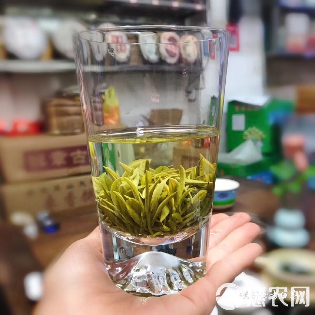 新茶 明前安吉好白茶，高山原料安吉白茶、满满的氨基酸