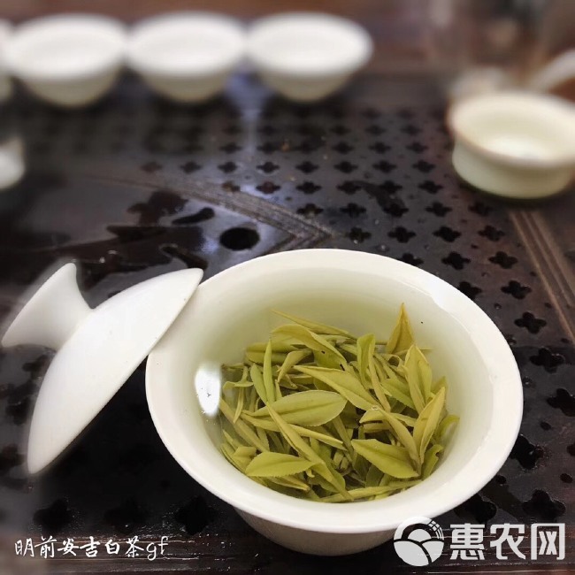 新茶 明前安吉好白茶，高山原料安吉白茶、满满的氨基酸