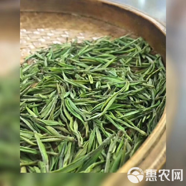 新茶 明前安吉好白茶，高山原料安吉白茶、满满的氨基酸