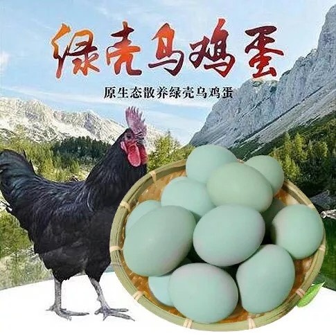 独山县绿壳鸡蛋 食用 箱装 