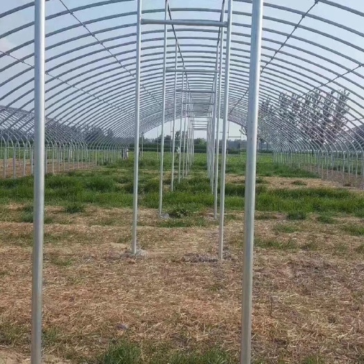 沭阳县连栋棚
