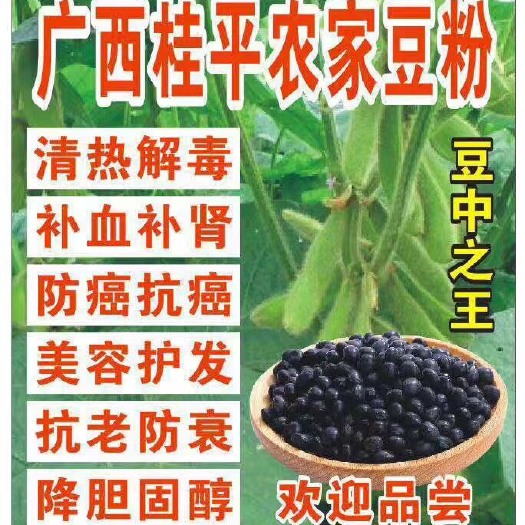 广州豆浆粉 