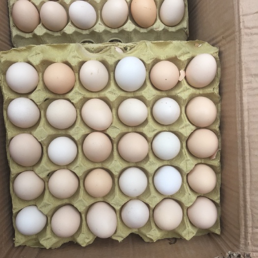 青县粉蛋 食用 箱装 