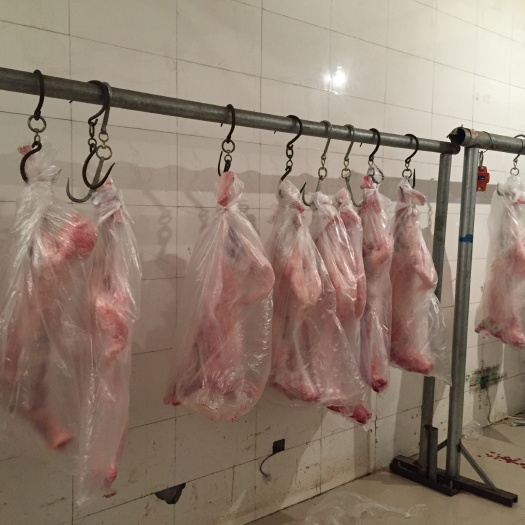永宁县羊肉类  盐池滩羊羔子肉