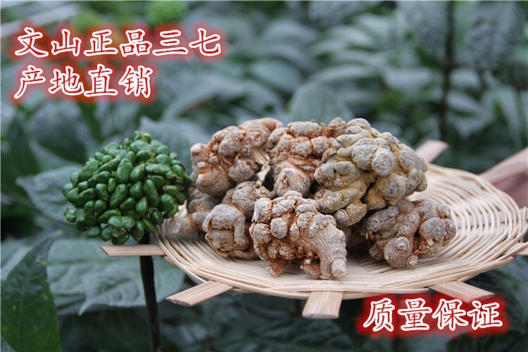文山市文三七  足20头滑头文山三七 可磨粉