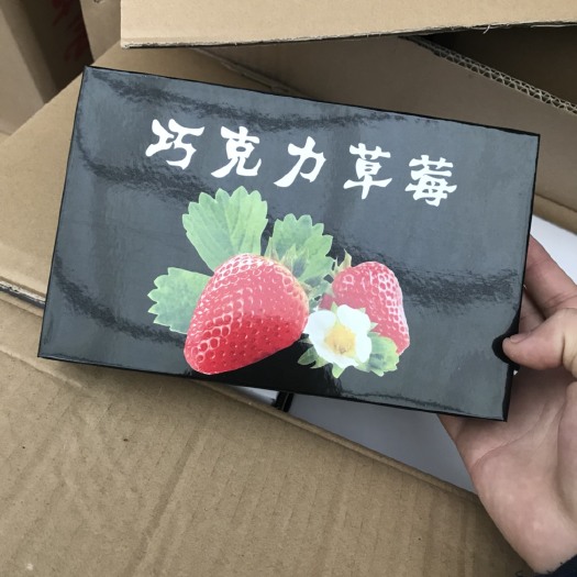成都巧克力味草莓 