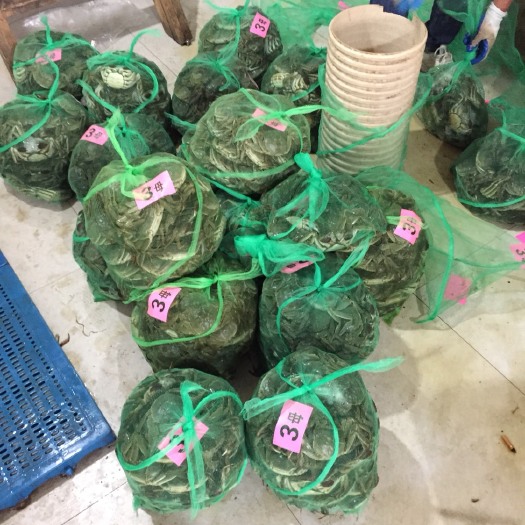 兴化市兴化大闸蟹 2.3－2.5 母蟹