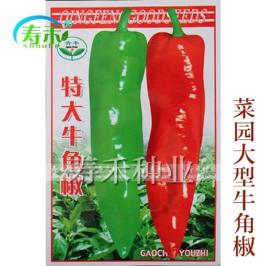 沭阳县牛角椒种子 