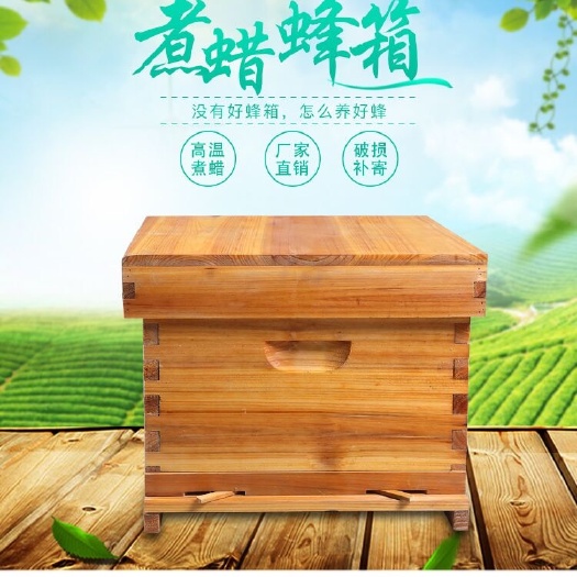 长葛市杉木蜂箱 