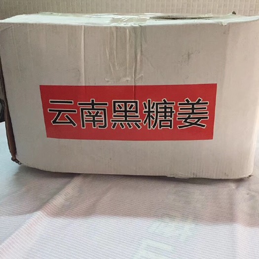广州姜黄 