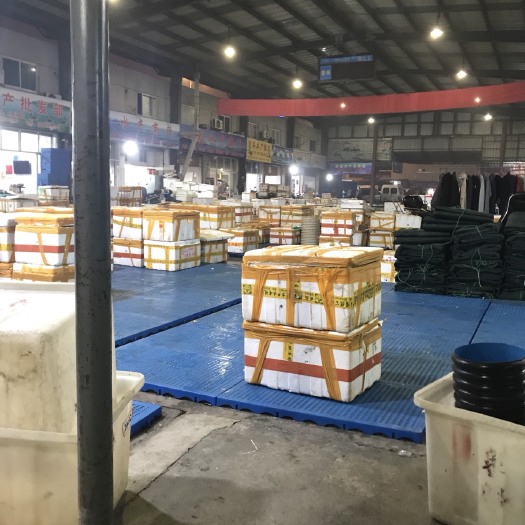 苏州高淳大闸蟹 3.5-4.0两 公蟹 高淳大闸蟹 3.5-4.0两 公蟹