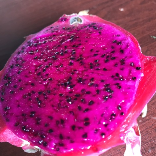 石家庄红肉火龙果-美龙1号 