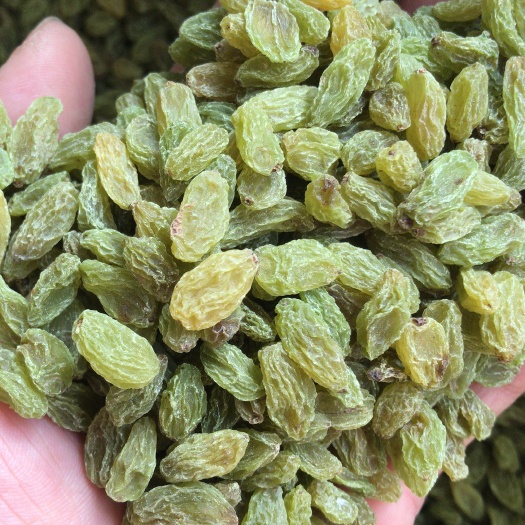 沧县新疆吐鲁番市葡萄干中大颗粒二级绿干无籽葡萄干五斤包邮