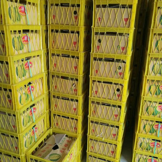 凭祥市猫山王榴莲 16斤装