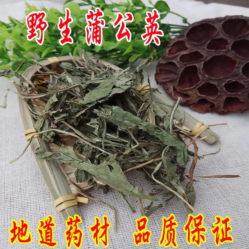 蒲公英茶 散装 二级