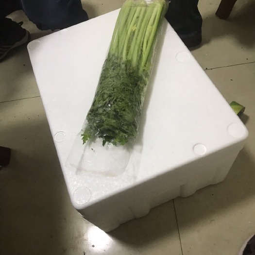 寿光市三红胡萝卜 15cm以上
