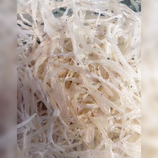 苏州 太湖银鱼干，营养丰富，品质保障。