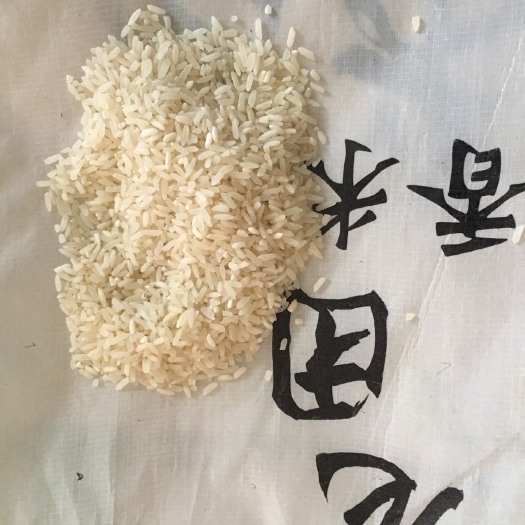 香米 龙团