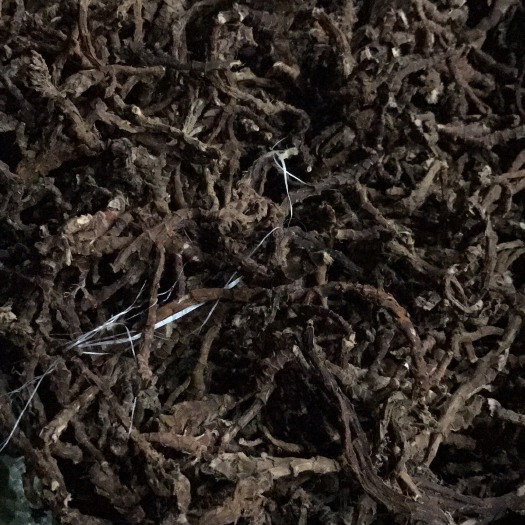 石菖蒲 中药材菖蒲