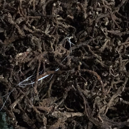 永安市石菖蒲 中药材菖蒲