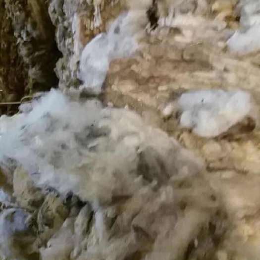 羊皮 新疆绵羊毛