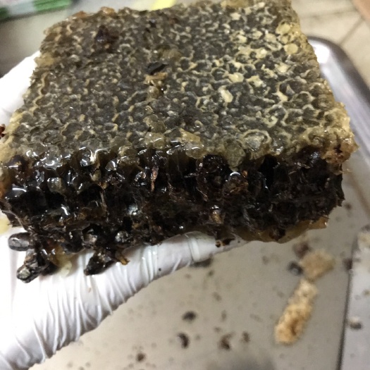 凤阳县意蜂蜂蜜 老巢蜜蜂巢蜜