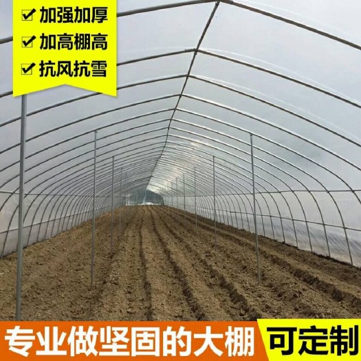天津单体棚 