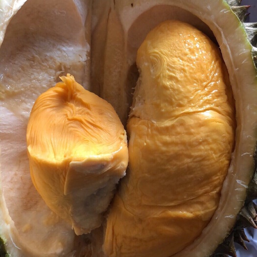 深圳 马来西亚黑刺榴莲液氮果