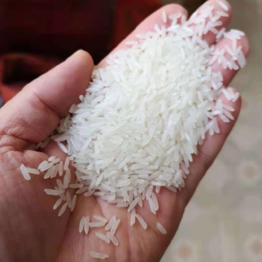 永修县泰优5431 籼米 一等品 一季稻