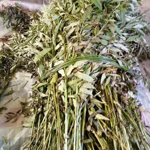 抚松县益母草 益母膏