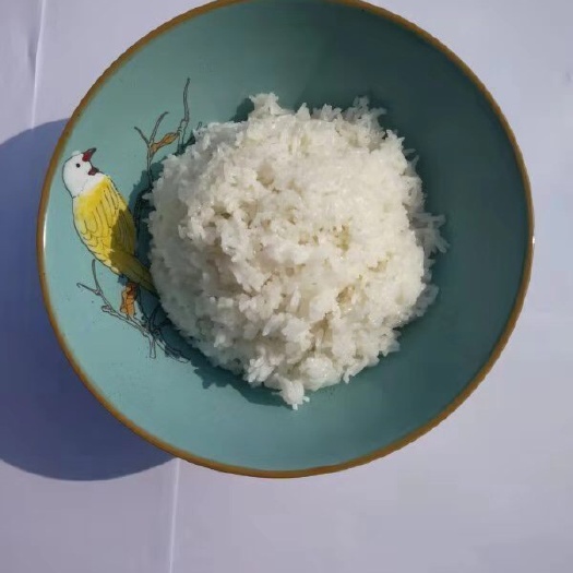 洋县洋县香米 一等品 晚稻 籼米