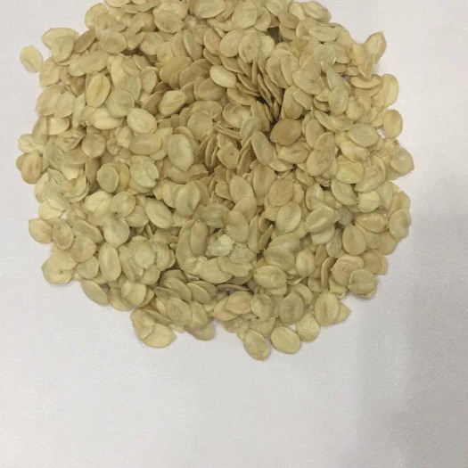 杭锦后旗西瓜子 