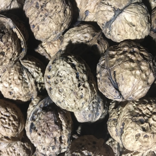 凤庆县云南核桃 箱装 去皮 45mm以上