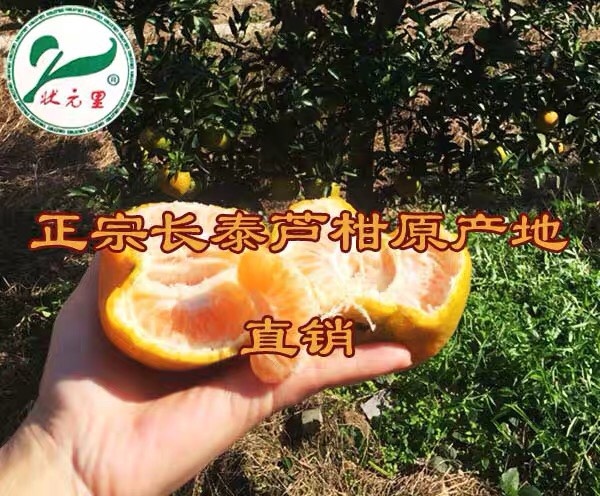 漳州长泰芦柑  长泰特产  芦柑