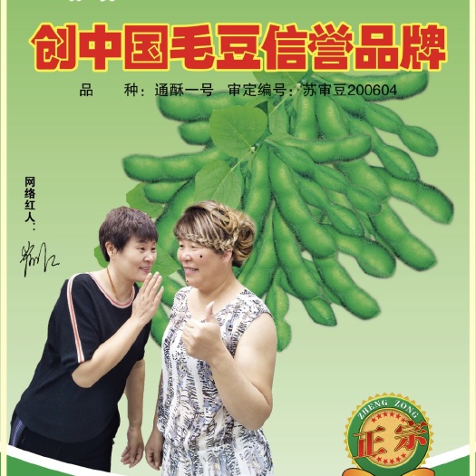 开原市毛豆种子公司直供【网红大牙嫂代言】