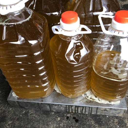 龙游县现榨山茶油 