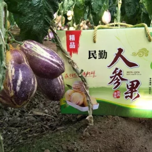 民勤县水果礼盒