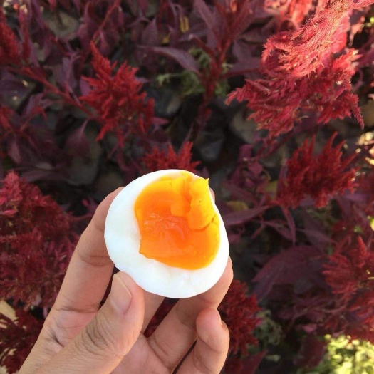 涞源县土鸡蛋 箱装 食用