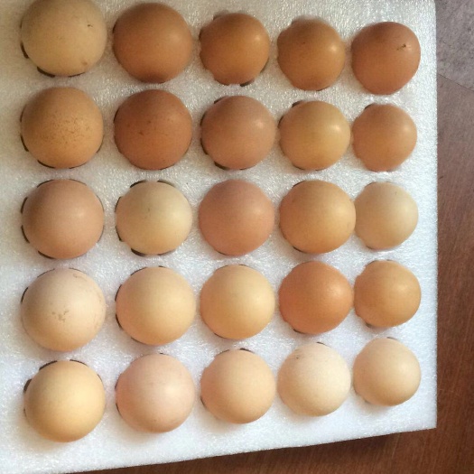 上海土鸡蛋 箱装 食用