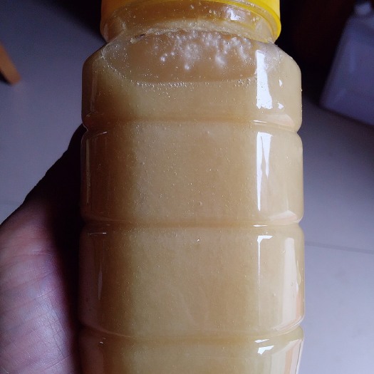 深圳冬蜜 百花蜜 荔枝密