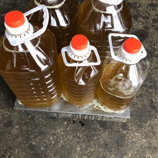常山县现榨山茶油
