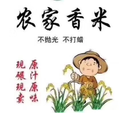 佛冈县野香优丝苗米 